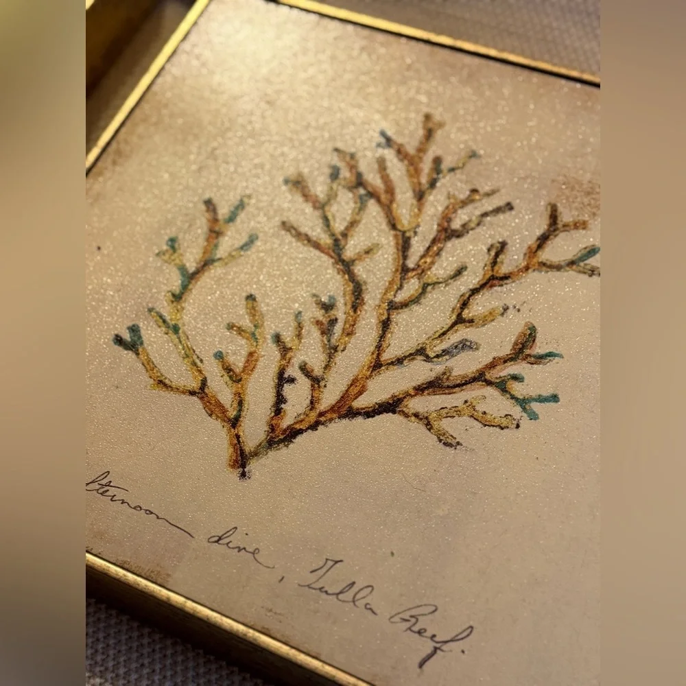 Set of 3 Pier 1 Golden‎ Toned Reef Art
